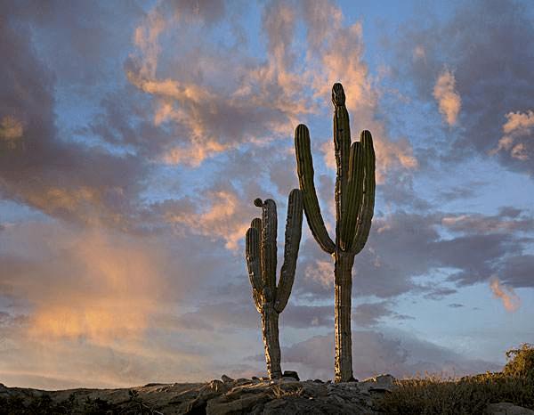 刻苦会使人生更美好