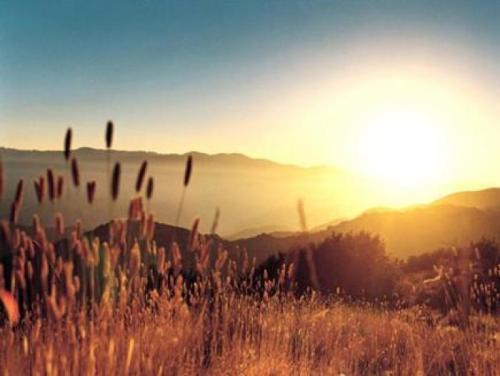 是谁拉你走向了平庸