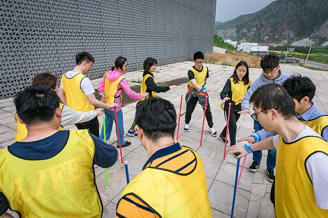 拓展项目——不倒森林