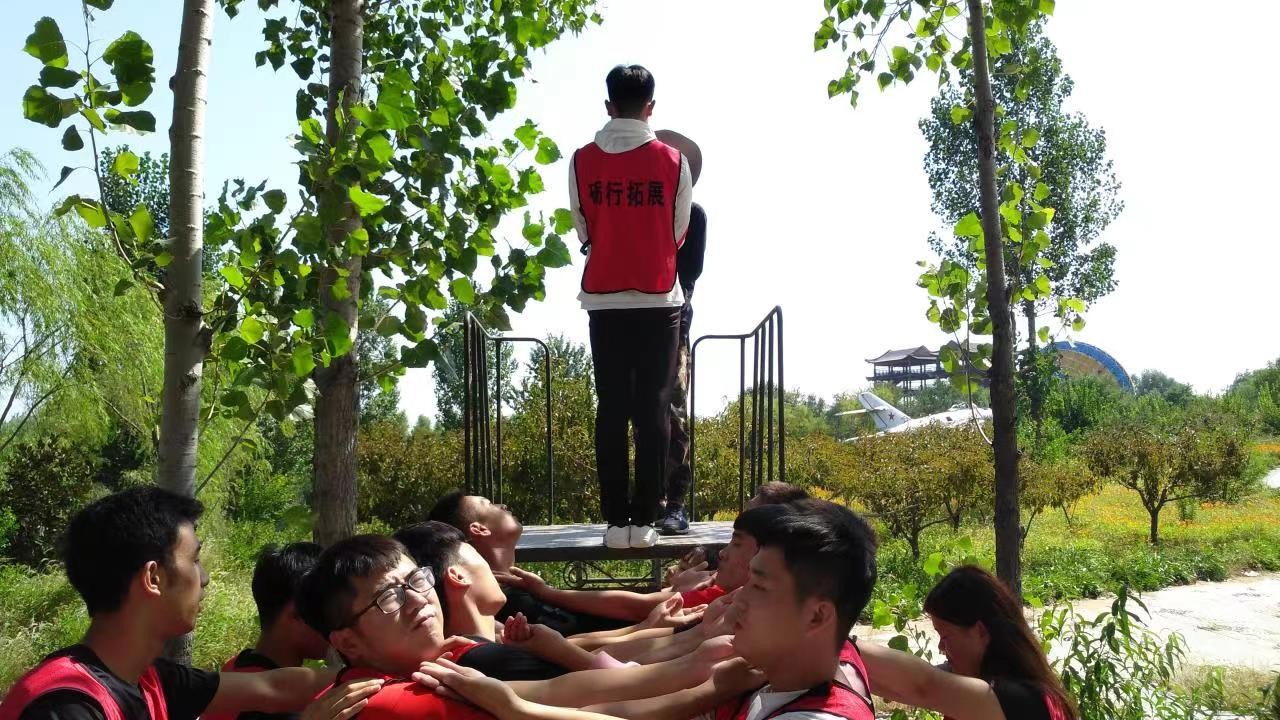 拓展项目——信任背摔